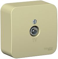 Розетка TV Коннектор накладная Systeme Electric Blanca 1-м. бежевый картинка